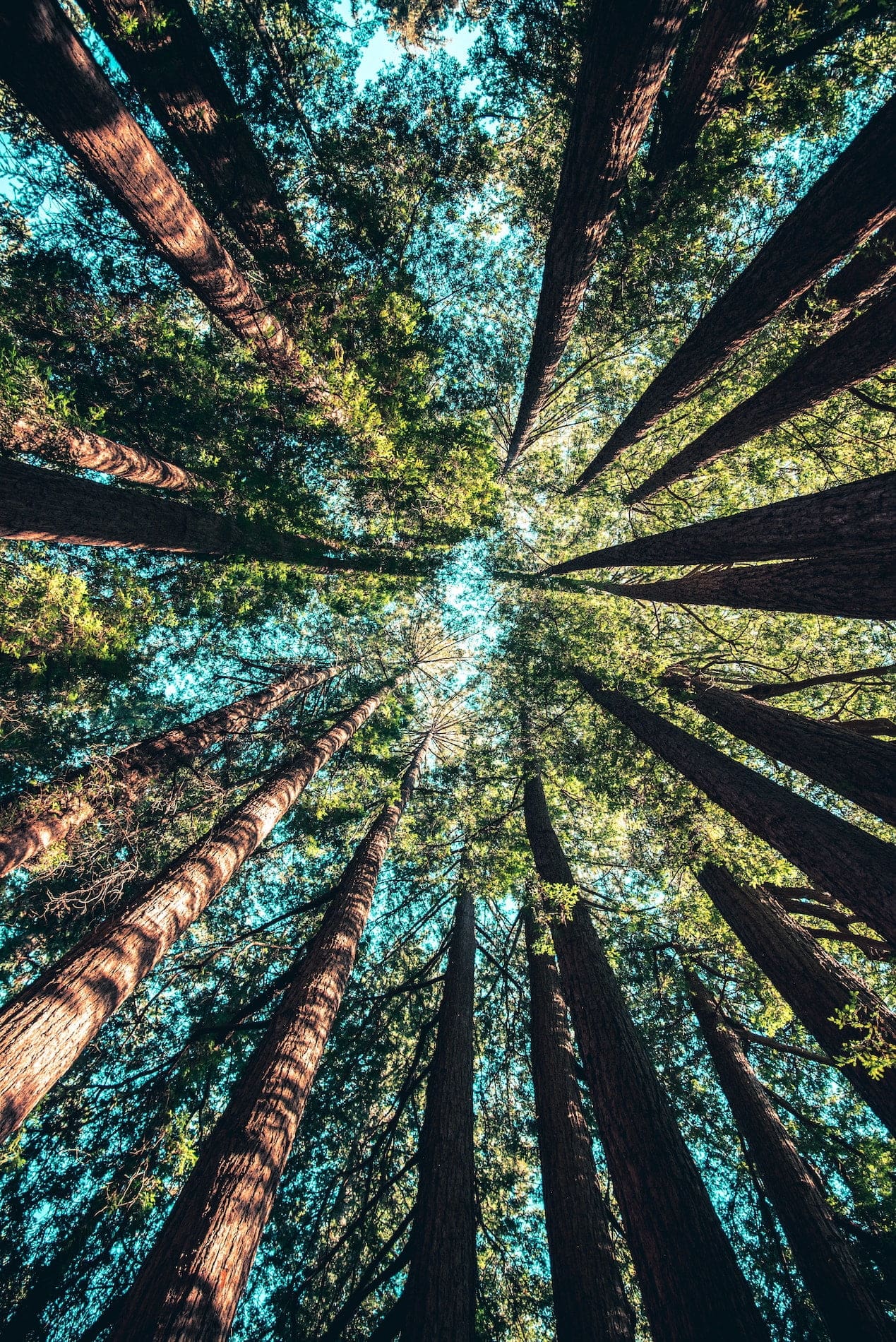 klimaat positief data